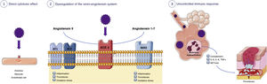 Pathogenic mechanisms involved in cardiac involvement after SARS-CoV-2 infection. 1) Direct cytotoxic effect of SARS-CoV-2 on alveoli, myocytes, and endothelial cells. 2) Dysregulation of the renin-angiotensin system with less inactivation of angiotensin 2 and less generation of angiotensin (1-7). 3) Immunothrombosis.