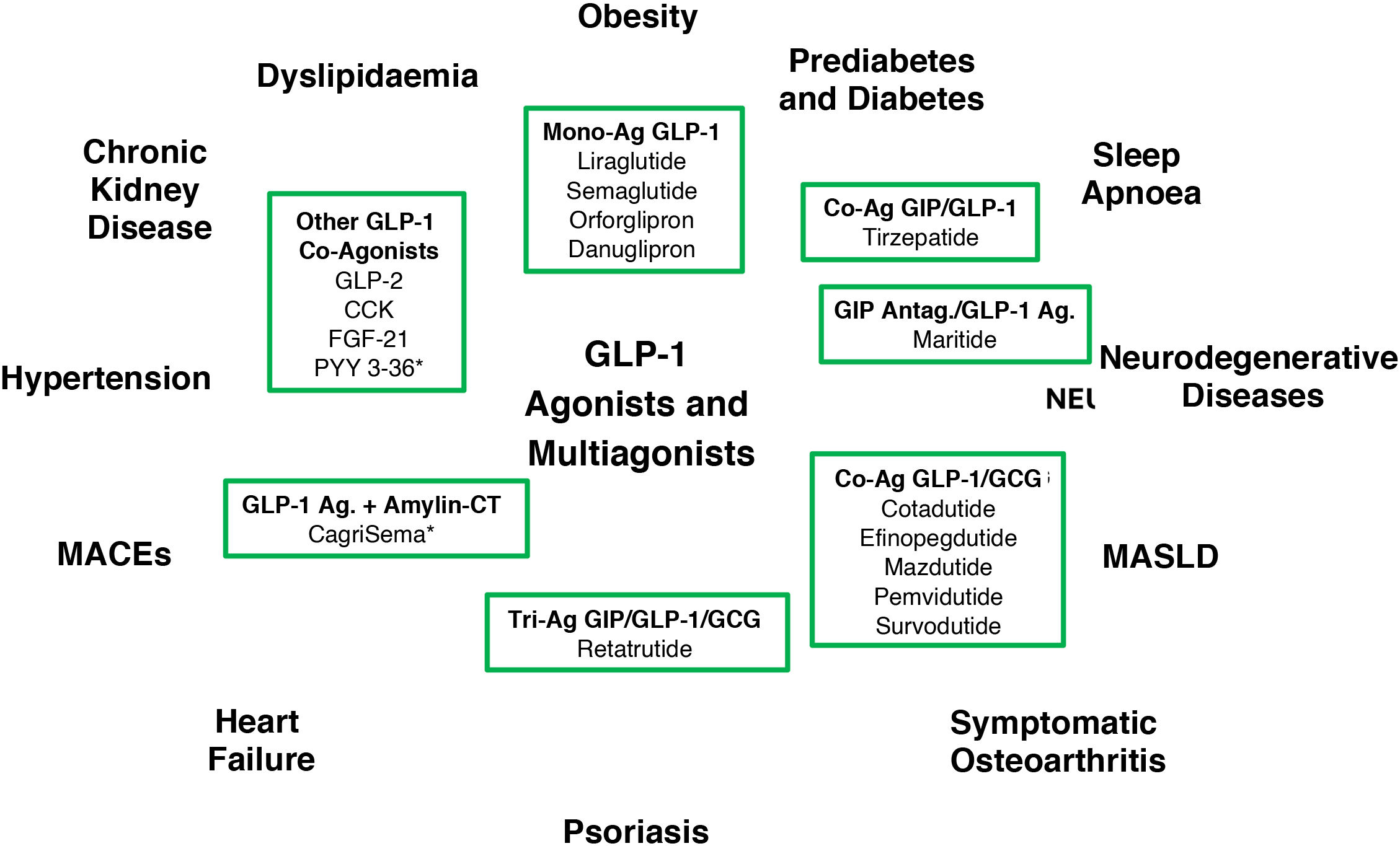 GLP-1-based medications: Mechanisms involved in obesity treatment |  Medicina Clnica (English Edition)