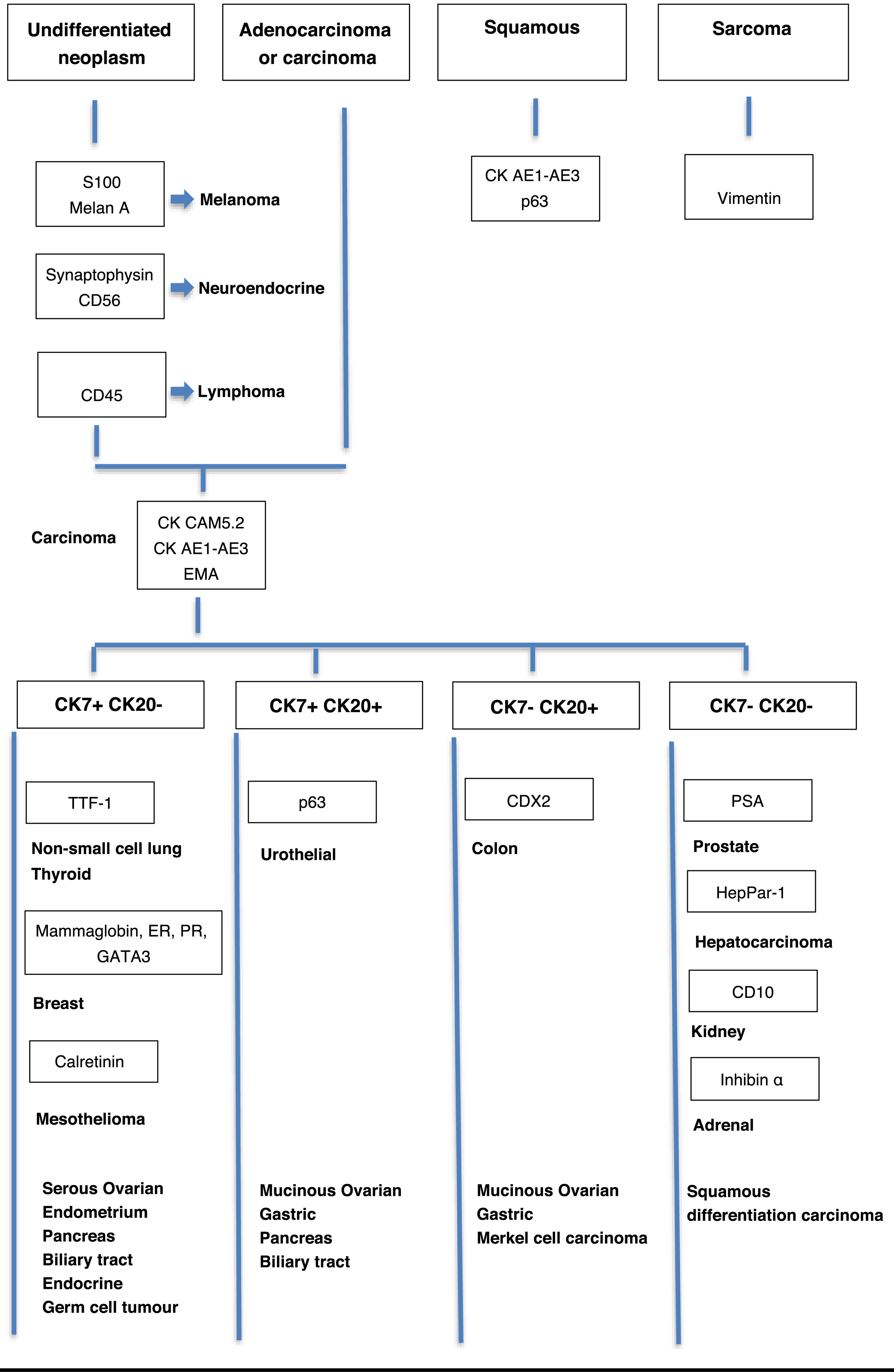 fig0005