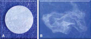Espécimen de solubilidad: A) Muestra inicial y B) muestra después de los seis meses en inmersión.