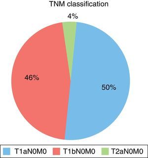 TNM cancer staging percentages: 14 T1a N0 M0 patients (50%), 13 T1b N0 M0 patients (46%) and one T2a N0 M0 patient (4%).