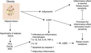 Inflammation of visceral adipose tissue is a trigger signalling the beginning and the spread of low-grade systemic inflammation. AGE: advanced glycation end products; FFA: free fatty acids; IL: interleukin; LGSI: low-grade systemic inflammation; oxLDL: oxidised low density lipo proteins; TNF: tumour necrosis factor.