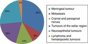 Distribution of central nervous system tumours according to histological group (n=511).