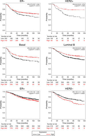 TRPM2 mRNA expression correlates with relapse-free survival in patients with breast cancer. Kaplan-Meier graphs show the relapse-free survival prognosis of breast cancer patients censored at 120 months, based on high or low TRPM2 tumor mRNA expression. Red, patients with expression above the median; black, patients with expression below the median. After splitting the patients by TRPM2 mRNA level, those with low expression had a lower probability of being relapse-free over time when presented ER-, HER2+, Basal or Luminal B subtype. In contrast, high TRPM2 expression patients of ER+ and HER2- breast cancer presented slightly less relapse over time in comparison to their counterpart with low expression.
