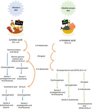 Metabolism of linoleic acid and α-linolenic acid.
