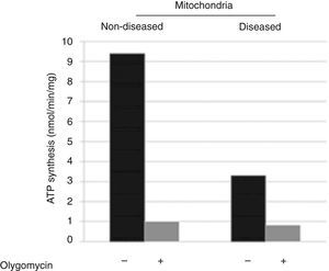 ATP-synthesis in skin fibroblasts isolated mitochondria showed a decrease of ≥ 60%, which corroborates the mitochondriopathy.
