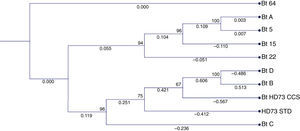 Neighbor-joining phylogenetic tree of the Bacillus thuringiensis isolates.