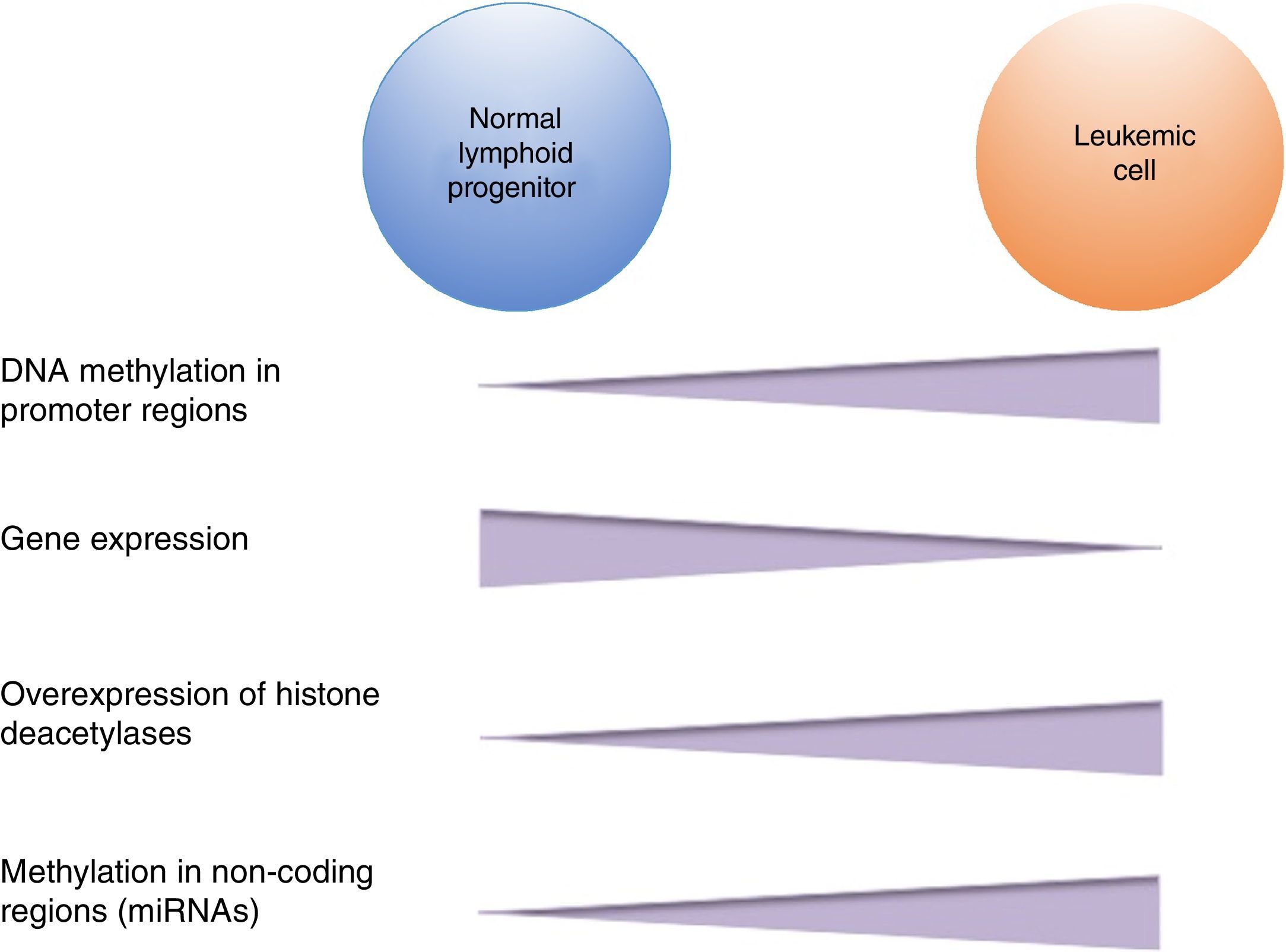 Epigenetic alterations in acute lymphoblastic leukemia | Boletín Médico ...