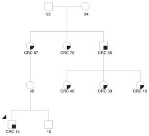 Family tree. The lower right black square indicates a diagnosis of CRC and age.