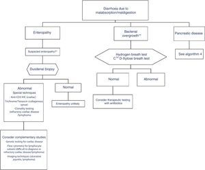 Algorithm 3. Diagnosis of chronic diarrhoea due to enteropathy and bacterial overgrowth *Suspectedenteropathy: risk group for coeliac disease (family members, Down syndrome, organ-specific systemic autoimmune diseases, compatible symptoms, etc.), visits to tropical countries, poorly controlled coeliac disease, olmesartan therapy, etc. **Suspected bacterial overgrowth: structural changes in the small bowel (e.g. by-pass, stenosis) or motility disorder.