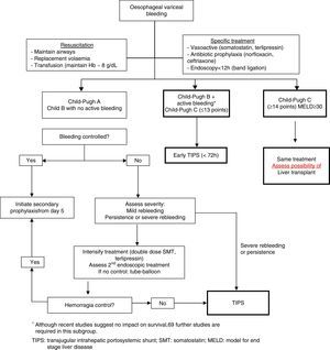 Treatment algorithm for upper GI bleeding due to gastro-oesophageal varices in liver cirrhosis.