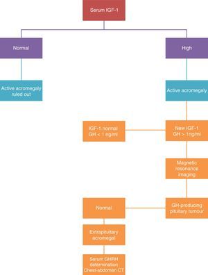 Acromegaly diagnosis algorithm. Taken and modified from Melmed S. Medial progress: acromegaly. N Engl J Med 2006; 355: 2558–2573.