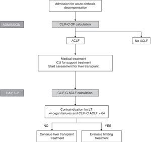 Algorithm for establishing the diagnosis and sequential evaluation of prognosis in patients with ACLF. The CLIF-OF calculation on admission enables the ACLF diagnosis to be established according to the currently accepted diagnostic criteria, based on the results of the CANONIC study. The evaluation of prognosis 3–7 days after having started treatment, using the CLIF-C ACLF index, seems to be the most accurate strategy for establishing prognosis in these patients. At this point (days 3–7), the existence of 4 or more organ failures together with a CLIF-C ACLF score >64 in patients who are not able to undergo an LT has been associated with a 6-month mortality rate of 100%. Therefore, this has been suggested as a possible criterion for suggesting that the therapeutic effort is limited. However, these criteria should be validated in future studies.