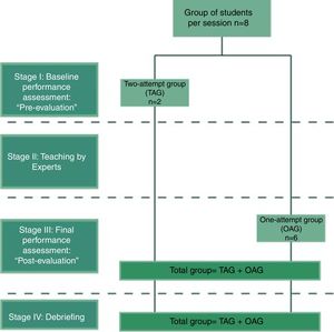 Workshop activities and distribution of students.