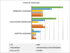 Types of infection by focus and site of acquisition.