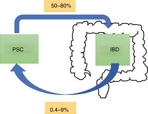 Prevalence of primary sclerosing cholangitis (PSC) and inflammatory bowel disease (IBD).