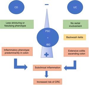 Phenotypes of primary sclerosing cholangitis (PSC) and inflammatory bowel disease (IBD).