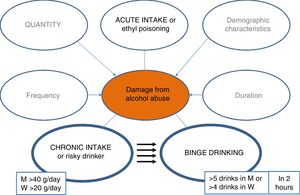 Factors involved in liver damage from alcohol consumption. H: man. M: female.