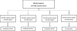 Algorithm for the use of grafts from HBsAg-negative, anti-HBc–positive donors by the anti-HBs/anti-HBc serological profile of the recipient and the risk of hepatitis B transmission. NA: nucleos(t)ide analogues.