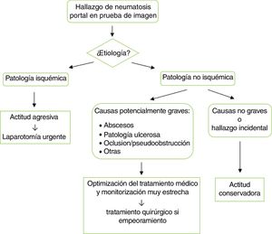 Algorithm of proposed treatment depending on the aetiology and prognosis of clinical symptoms.