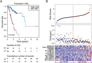 Validation of the thirteen-lncRNAs signature in the testing set and entire set. (A) Kaplan–Meier overall survival (OS) analysis in the testing set between patients in the high-risk group and low-risk group. (B) Kaplan–Meier overall survival (OS) analysis in the entire set between patients in the high-risk group and low-risk group. (C) The distribution of risk score, OS and lncRNA expression for the patients in the testing set. (D) The distribution of risk score, OS and lncRNA expression for the patients in the entire set. Columns represent patients.