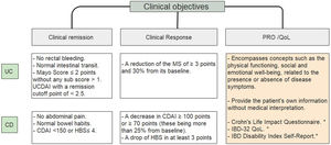 Clinical objectives in IBD.10–14 UC, ulcerative colitis; CD, Crohn's disease; UCDAI, Ulcerative colitis disease activity index; CDAI, Crohn's disease activity index; HBS, Harvey Bradshaw score; PRO, patient related outcome; QoL, quality of life. * Systematic review showed moderate validation for these scores14.