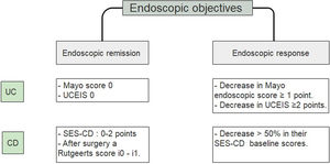 Endoscopic objectives in IBD.26–29 UC, ulcerative colitis; CD, Crohn's disease; UCEIS, ulcerative colitis endoscopic index of severity; SES CD, simple endoscopic score for Crohn's disease.