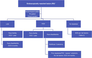 Algorithm 1. Surveillance after dysplasia in patient with resected lesion (R0). DCE: dye chromoendoscopy; HGD: high-grade dysplasia; LGD: low-grade dysplasia. * Tattoo if Kudo ≥3.