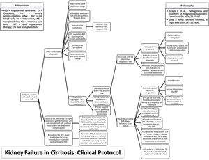 Evidence-based protocol for diagnosis and treatment of hepatorenal syndrome (December, 2013).