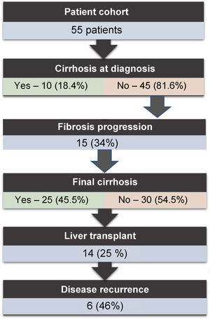 Evolution of liver disease in our cohort of patients during follow-up.