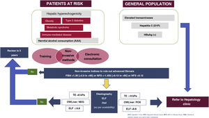 Algorithm for detection and referral of prevalent liver diseases (hepatitis B, hepatitis C, alcohol-related liver disease and metabolic fatty liver disease). AAA: Anamnesis [medical history]; AUDIT, ANI; D1P: diagnóstico en un solo paso [one-step diagnosis]; ELF: European Liver Panel; TE: transient elastography; HFS: Hepamet Fibrosis Score; NFS: Non-alcoholic fatty liver disease (NAFLD) Fibrosis Score.
