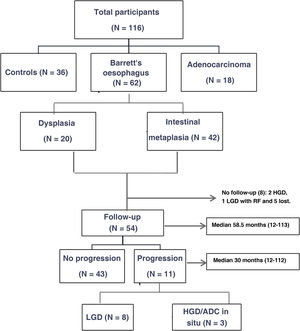Flowchart of the study.