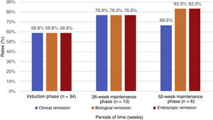 Clinical, biochemical and endoscopic remission in the different phases of treatment evaluated.