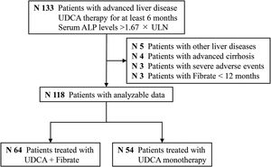 The study flowchart. ALP, alkaline phosphatase; UDCA, ursodeoxycholic acid; Fibrate, fenofibrate; ULN, upper limit of the normal range.