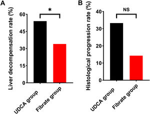 The incidence of liver decompensation and histological progression between the Fibrate group and the UDCA group. (A) Liver decompensation rate. (B) Histological progression rate. Data was analyzed by the chi-squared test (*P<0.05; NS, no significance). UDCA, ursodeoxycholic acid; Fibrate, fenofibrate.