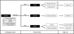 Proposals to assess histological risk based on the Sydney Consensus. OLGA: Operative Link on Gastritis Assessment; OLGIM: Operative Link on Gastric Intestinal Metaplasia Assessment; MAPS: Management of epithelial precancerous conditions and lesions in the stomach; IM: intestinal metaplasia; *Clinically significant (moderate to marked) in both antrum/incisura and corpus.