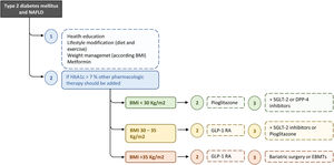 Recommended treatment algorithm for T2D and NAFLD. The ideal therapy for patients with T2D and NAFLD will be on that achieves glycaemic control, reverses the liver injury and fibrosis, and improves other metabolic factors as well as cardiovascular risk. Hence, this treatment should be multifactorial and progressive/additive to adapt it to the evolutionary phase of the disease. BMI, body mass index; DPP-4, dipeptidyl peptidase-4; EBMTs, endoscopic bariatric and metabolic therapies; GLP-1 RA, glucagon-like peptide-1 agonist receptor; SGLT-2, sodium-glucose linked transporter 2.