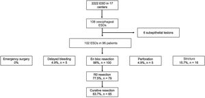Flowchart of the study.