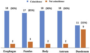 Coincidence of thirteen or more endoscopists with consensus score by segments in the assessed (Stage 2)