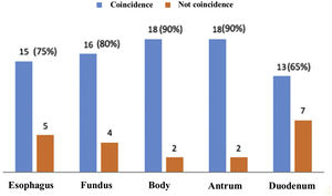 Coincidence of thirteen or more endoscopists by segments at the reassessment (Stage 3).
