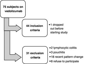 Flowchart of the subjects in the study.