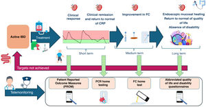 Treat to target telemonitoring in adults with IBD. Adapted from ref.59
