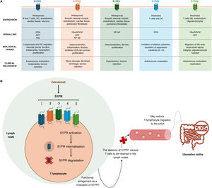 The role of etrasimod in ulcerative colitis. (A) Sphingosine 1-phosphate receptors: location, signalling, function and clinical relevance. (B) Functional antagonistic role of etrasimod as a modulator of sphingosine-1-phosphate receptors.32,59–61aBased on a combination of animal and human data. DC: dendritic cells; EIHR: endoscopic improvement-histological remission; S1PR: sphingosine 1-phosphate (S1P) receptor.