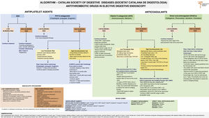SCD Algorithm: Antithrombotic drugs in Elective Digestive Endoscopy.