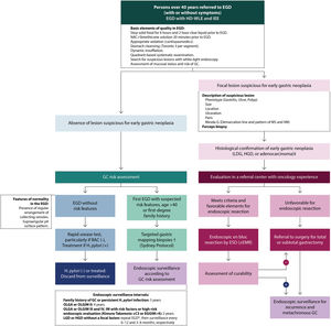 ACHED flowchart guide for the detection of early gastric cancer and surveillance of premalignant gastric conditions. *Review LGD/HGD findings with expert GI pathologists. EGD should be repeated with HD-WLE and IEE as promptly with an experienced endoscopist to rule out an associated focal lesion. † Directing biopsies to areas of endoscopic suspicion of CAG or MI. ‡ In Chile, notification of Explicit Health Guarantees. CG: gastric cancer; HGD: high-grade dysplasia; LGD: low-grade dysplasia; EDA: upper gastrointestinal endoscopy; EGGIM: endoscopic grading of gastric intestinal metaplasia; EMR: endoscopic mucosal resection; ESD: endoscopic submucosal dissection; H. pylori: Helicobacter pylori; NAC: n-acetyl cysteine; MS: microsurface; MV: microvasculature; OLGA: Operative Link on Gastritis Assessment; OLGIM: Operative Link on Gastric Intestinal Metaplasia; RAC: regular collector venules.