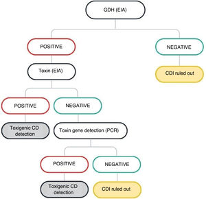 Microbiological diagnostic algorithm for toxigenic Clostridioides difficile. CD: Clostridioides difficile; CDI: Clostridioides difficile infection; EIA: enzyme immunoassay; GDH: glutamate dehydrogenase enzyme; PCR: polymerase chain reaction.