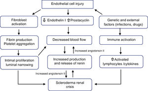 Pathophysiology of scleroderma renal crisis.