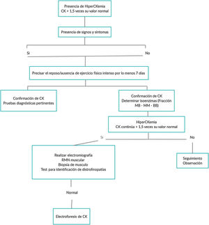 Flow chart, hyperCKemia diagnostic pathway.