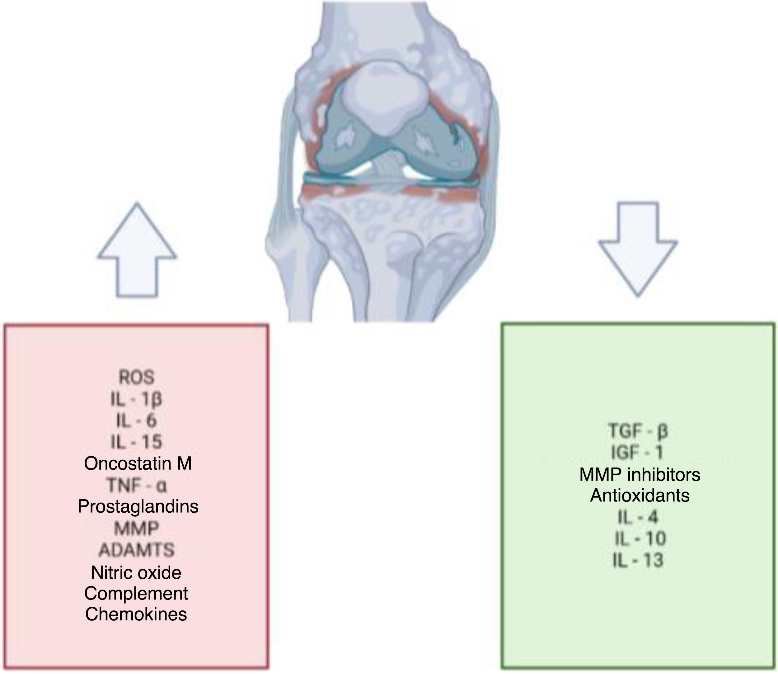 fig0005
