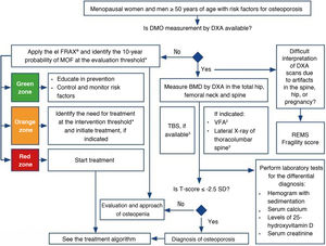 Algorithm for the diagnosis and evaluation of primary postmenopausal and age-associated osteoporosis. SD: standard deviation; BMD: bone mineral density; DXA: dual-energy X-ray central absorptiometry; MOF: major osteoporotic fracture; FRAX®: Fracture Risk Assessment Tool; REMS: bone densitometry by radiofrequency echografic multispecrometry; Rx: radiograph; TBS: Trabecular Bone Score; VFA: vertebral fracture assessment. 1 Particulary in people with chronic kidney disease, rheumatoid arthritis, type 2 diabetes mellitus or under long-term glucocorticoid treatment. 2 In patients with T-score < −1 SD, associated at least with one of the following: woman ≥ 70 years of age, men ≥ 80 years of age, height loss > 4 cm, hyperkyphosis, history of undocumented vertebral fracture, consumption of glucocorticoids (25 mg/day of prednisolone or its equivalent) for more than three months or in whom it is going to start it. 3 In cases of hyperkyphosis or pain in the thoracic or lumbar spine lasting more than 15 days without apparent cause.